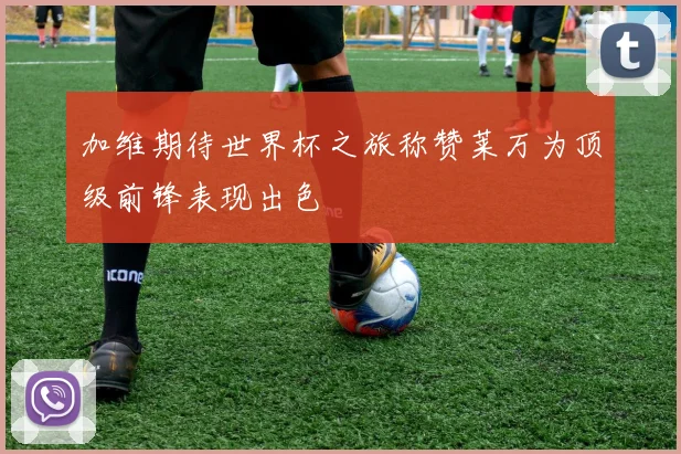 加维期待世界杯之旅称赞莱万为顶级前锋表现出色
