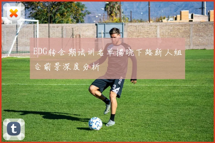 EDG转会期试训名单揭晓下路新人组合前景深度分析